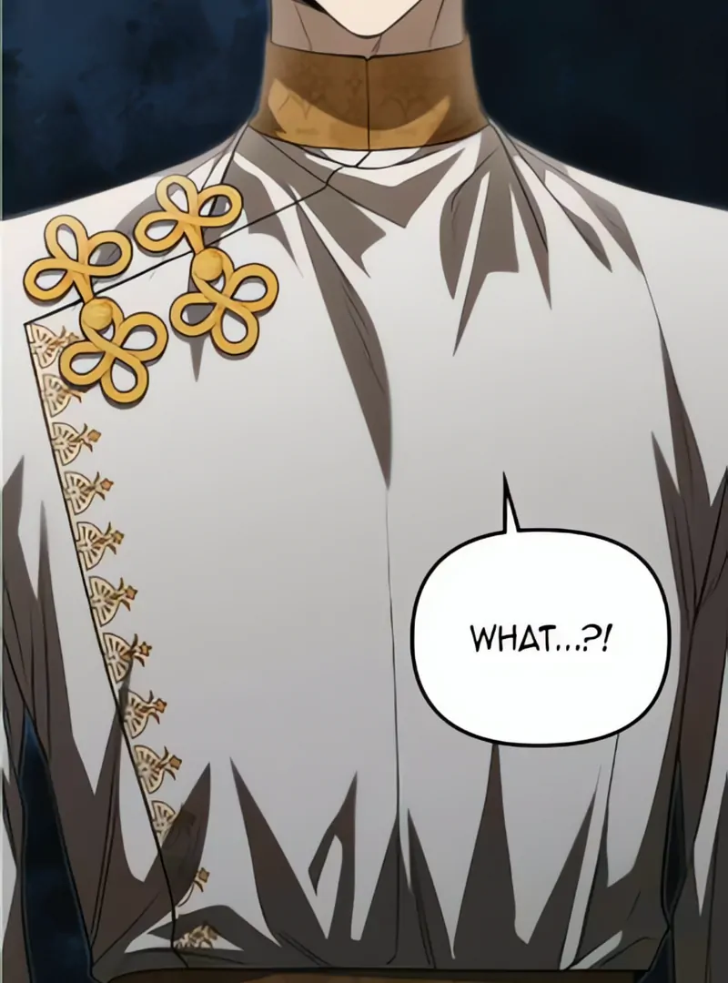 What Happens When the Second Male Lead Goes on Strike Chapter 68 - page 3