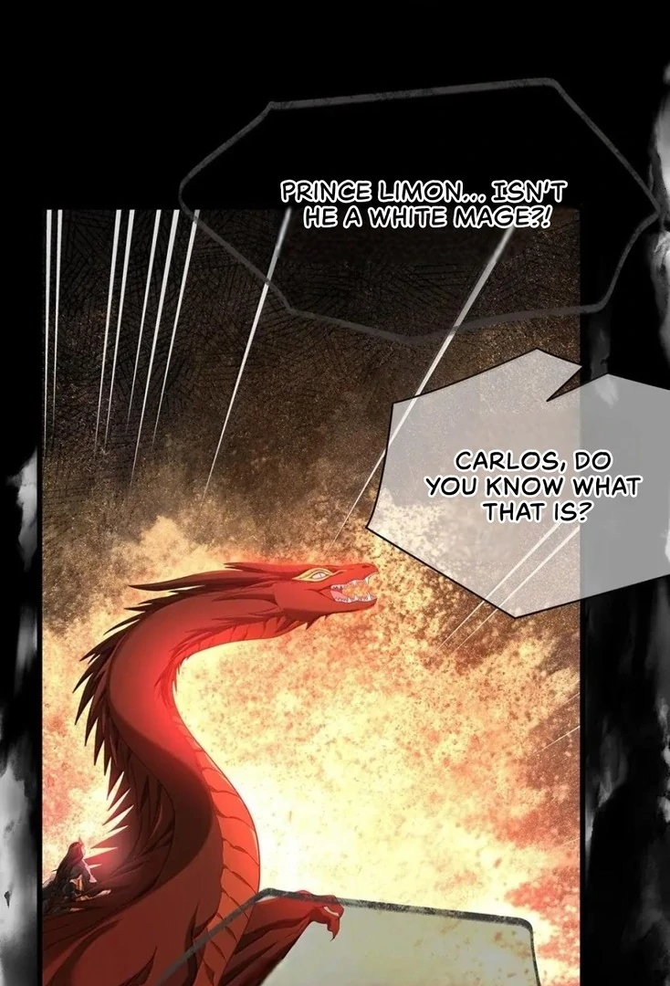 I Was Reborn as His Highness the Prince's Little Evil Dragon Chapter 70 - page 27