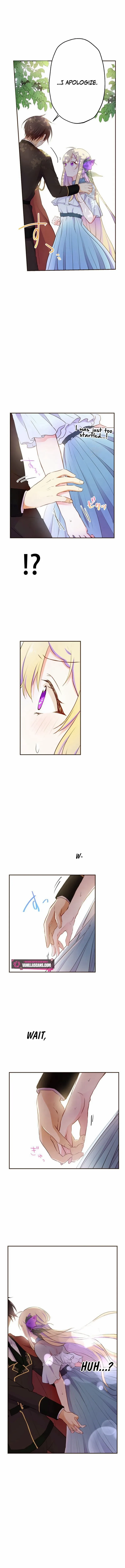 Masked Knight Will Never Deceive The Villainess Chapter 3 - page 8