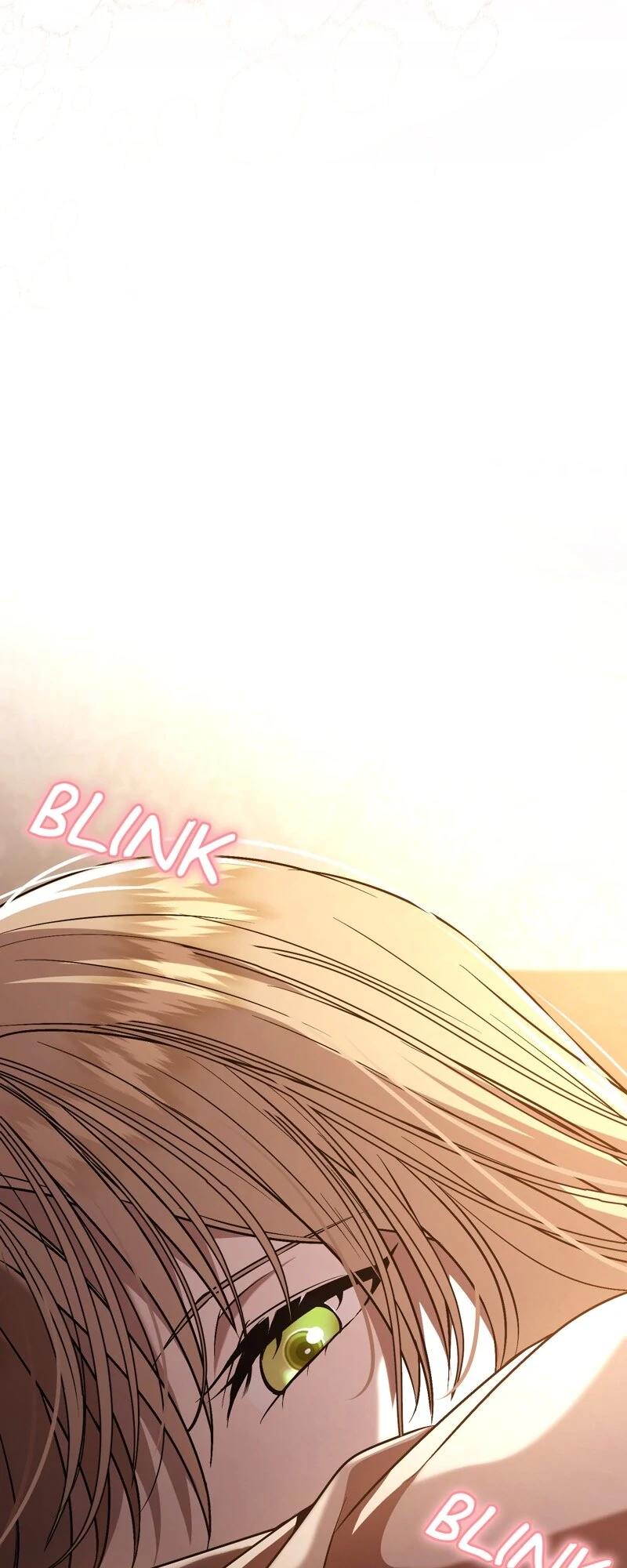 The Handmaiden Dreams at Sunset Chapter 66 - page 70