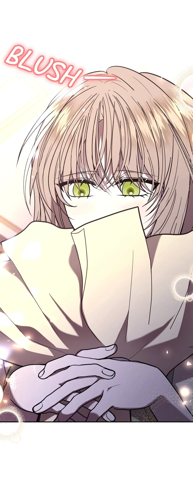 The Handmaiden Dreams at Sunset Chapter 68 - page 1