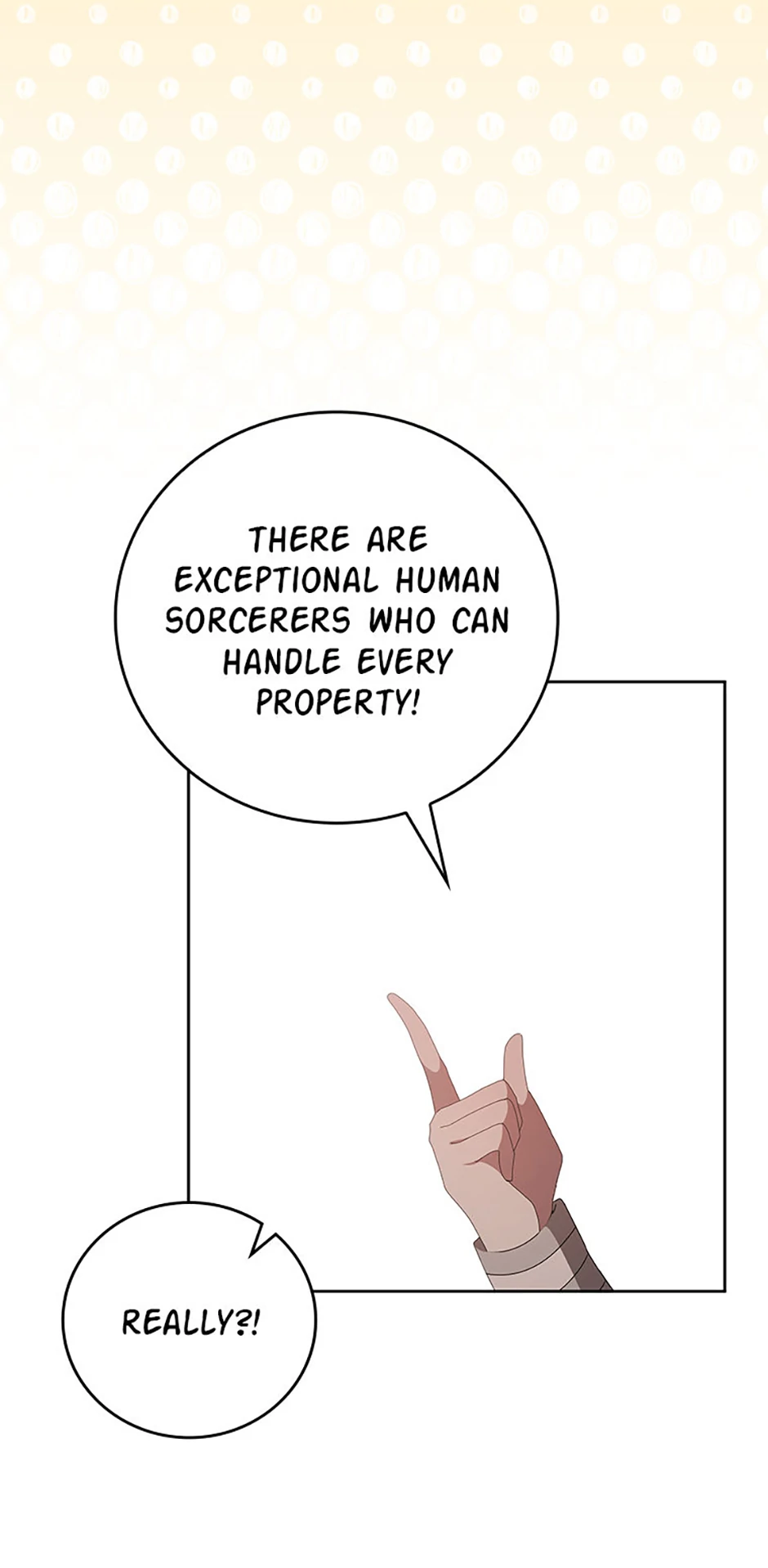 The Reason I Have to Be a Villain Chapter 47 - page 72