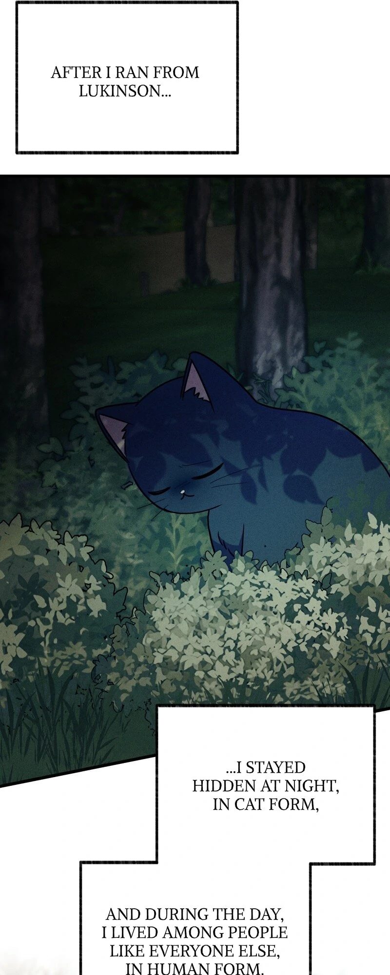 The Possesive Tyrant and His Sleepy Cat Chapter 64 - page 13