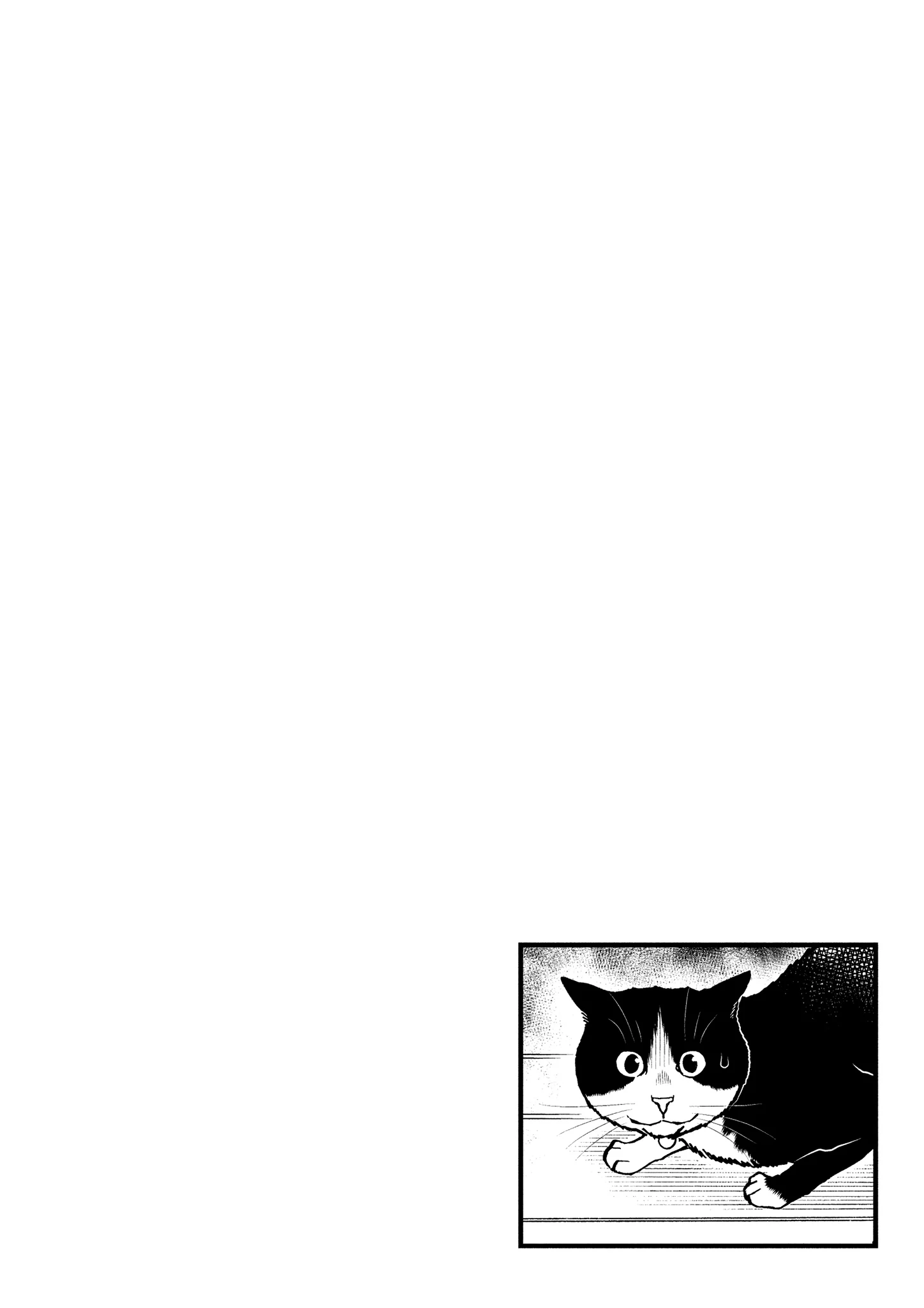A Gamer Living With A Cat Chapter 65 - page 14