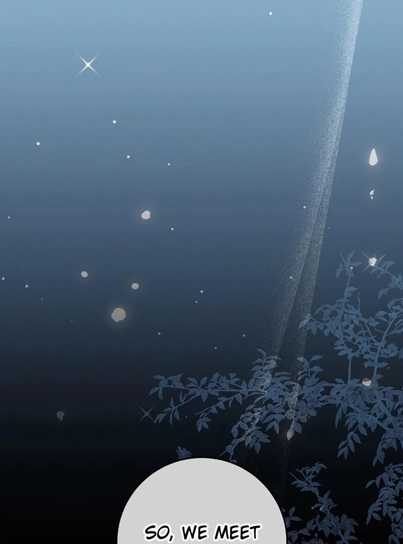 In the Midst of an Intended Marriage With My Time-Limited Lover Chapter 45 - page 57