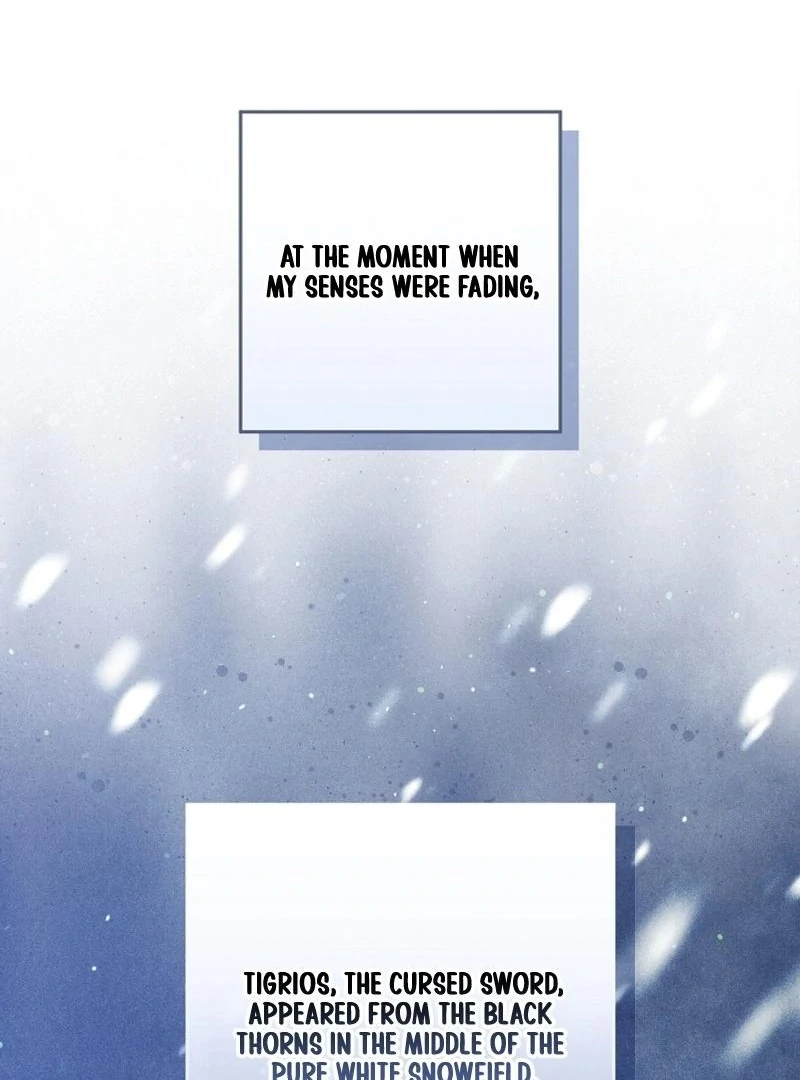 In the Midst of an Intended Marriage With My Time-Limited Lover Chapter 46 - page 104