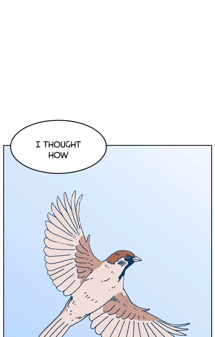 The city where the moon doesn't rise Chapter 8 - page 42