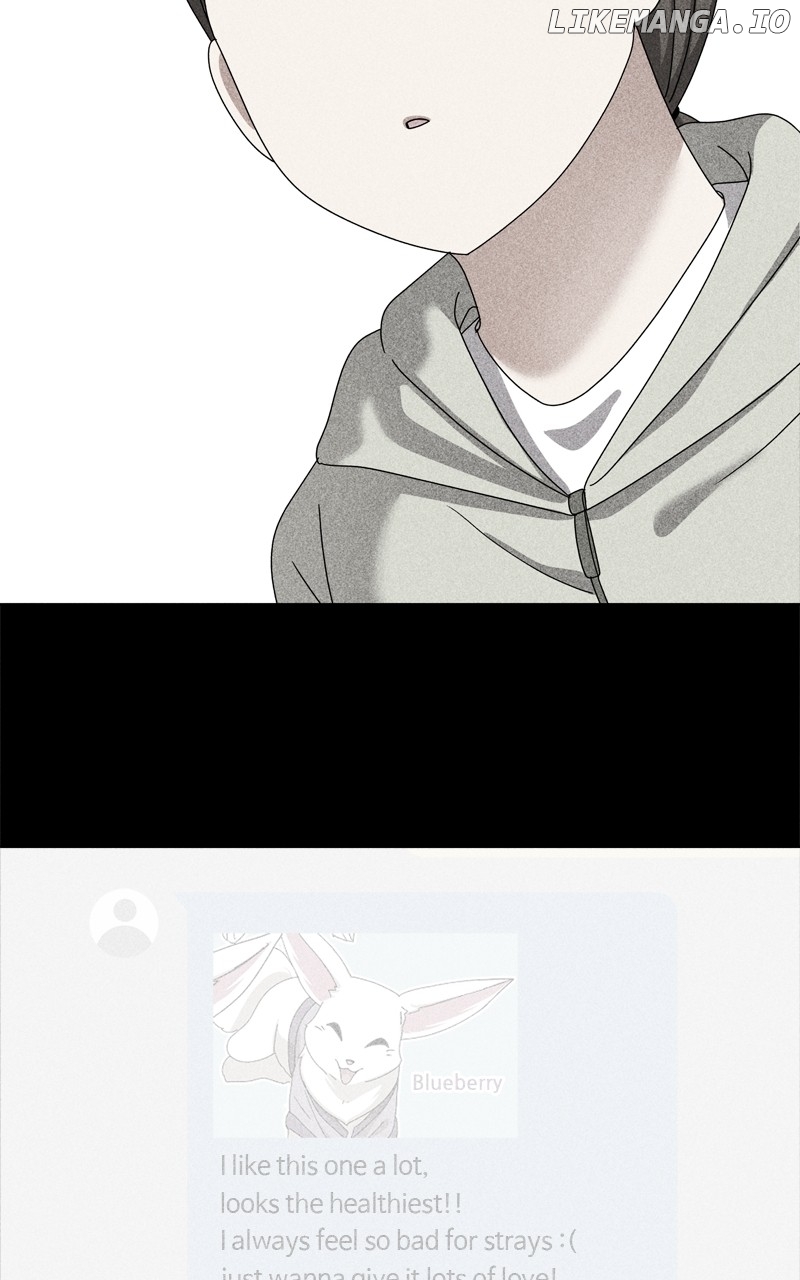 The Dog Diaries Chapter 196 - page 34