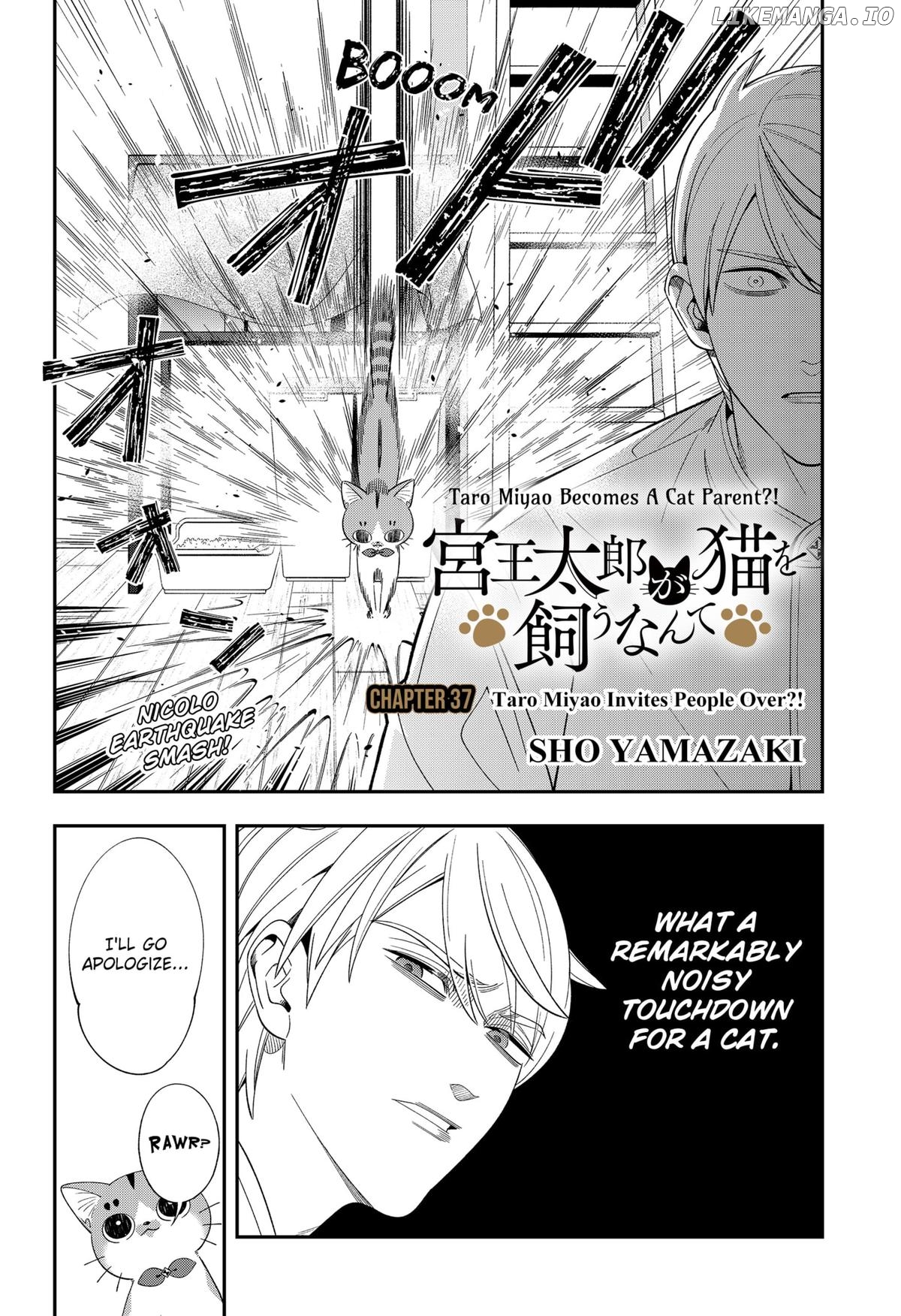 Taro Miyao Becomes A Cat Parent?! Chapter 37 - page 2