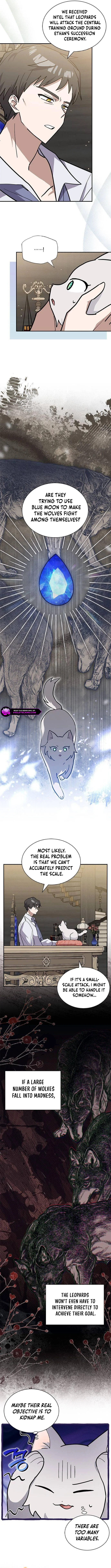 You’re a Cat, But You’ve Been Adopted by a Wolf Family? Chapter 53 - page 3