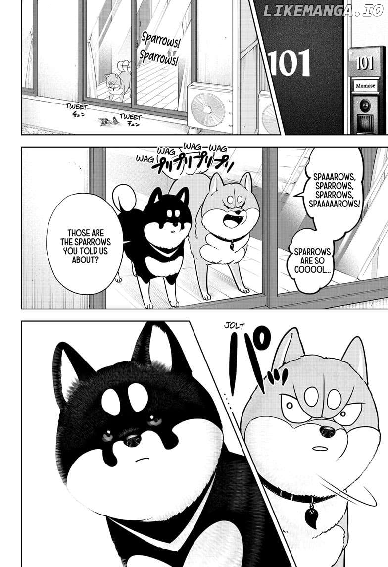 Shiba Inu Rooms Chapter 22 - page 8