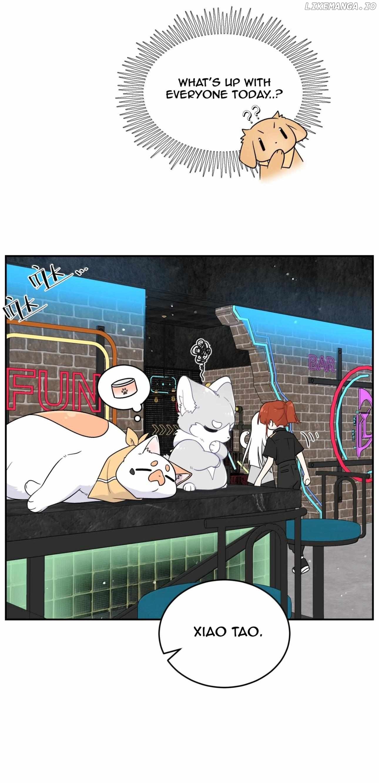 My Food Seems To Be Very Cute Chapter 204 - page 17