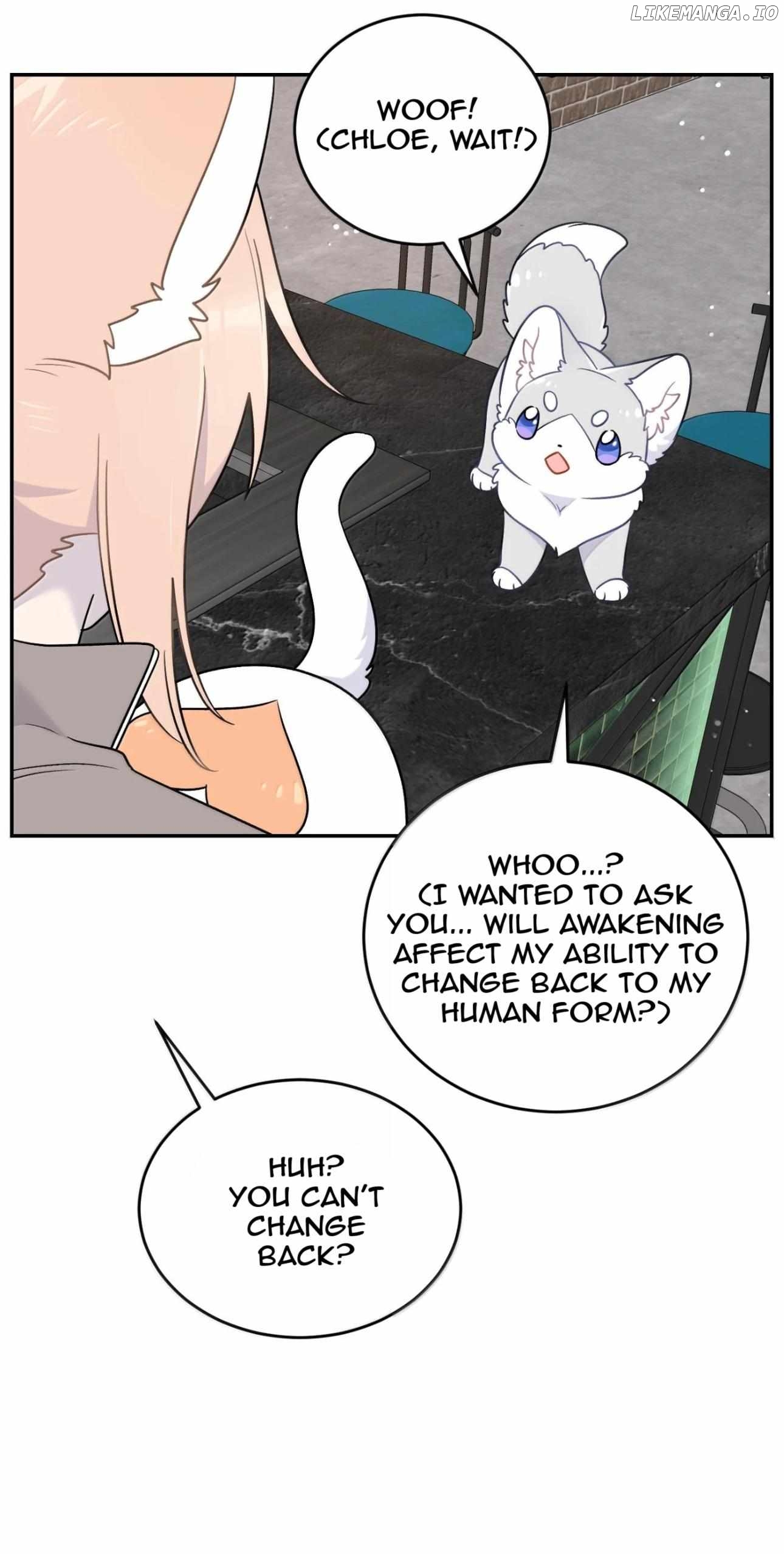 My Food Seems To Be Very Cute Chapter 204 - page 19