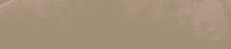 My Obsessive Father's Heroic Homecoming Chapter 44 - page 42