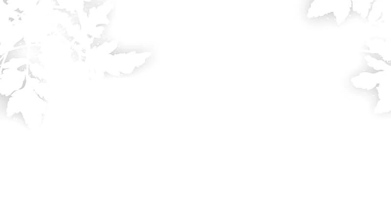 How to Make My Tyrant Husband Love Me Chapter 45 - page 41