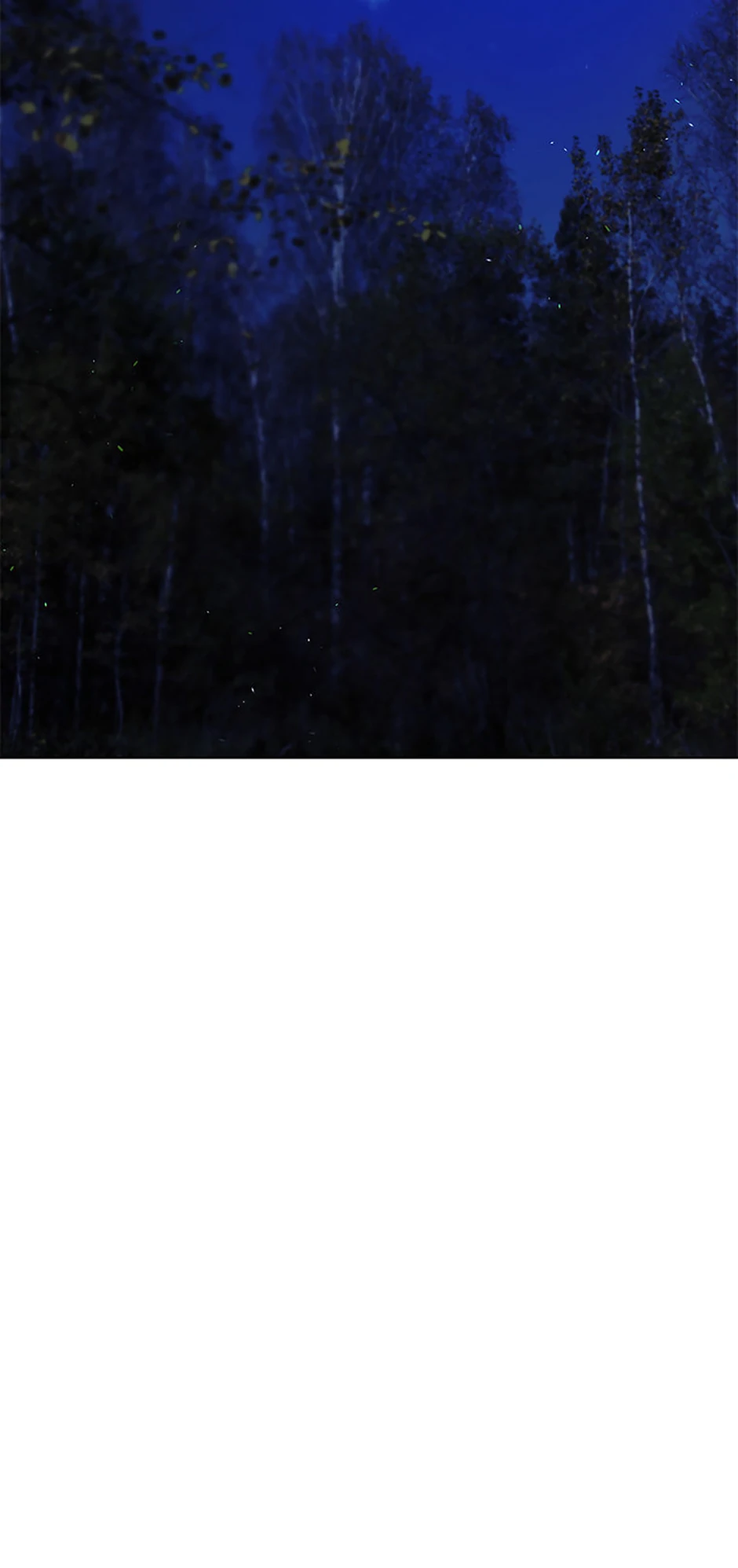 Lady Isabella's Path To Happiness Chapter 66 - page 45