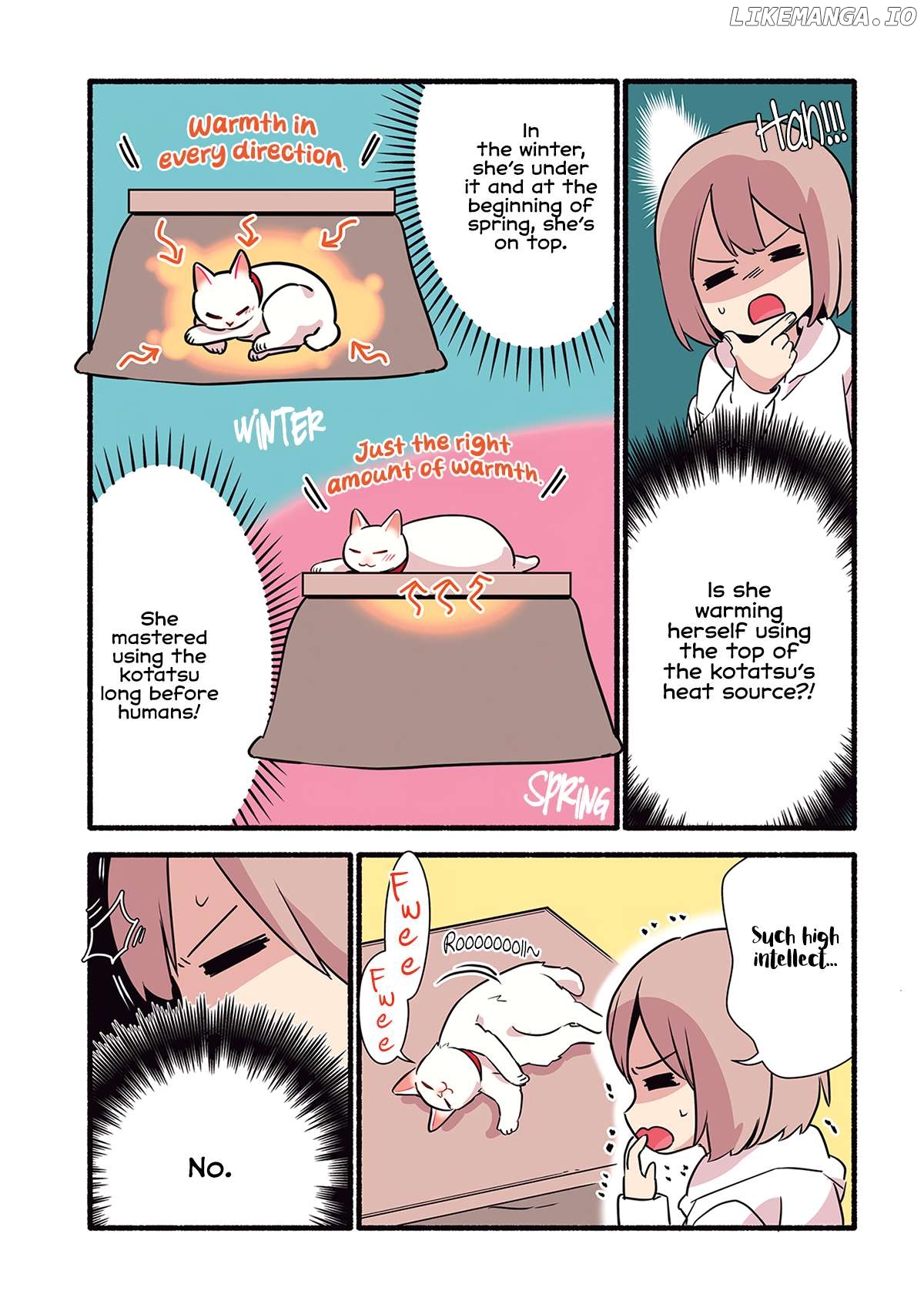 Aisaretagari no shironeko Miko-san Chapter 3.5 - page 4