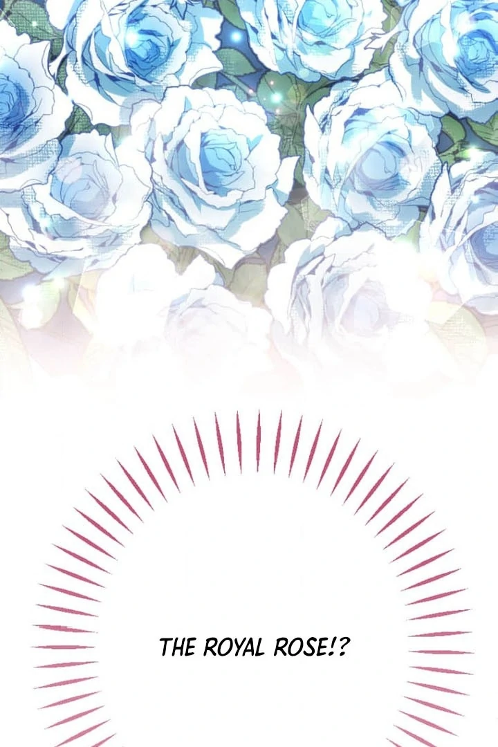 the tyrant knight arrogant ruthless yet sometimes gentle Chapter 6 - page 25