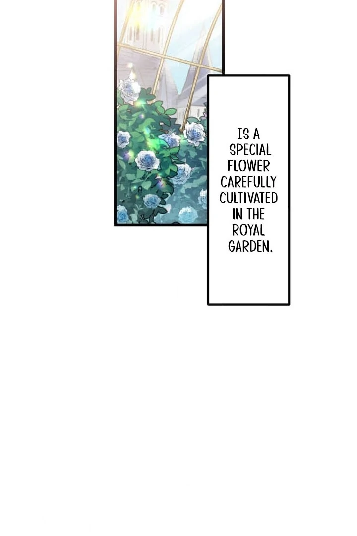 the tyrant knight arrogant ruthless yet sometimes gentle Chapter 6 - page 27