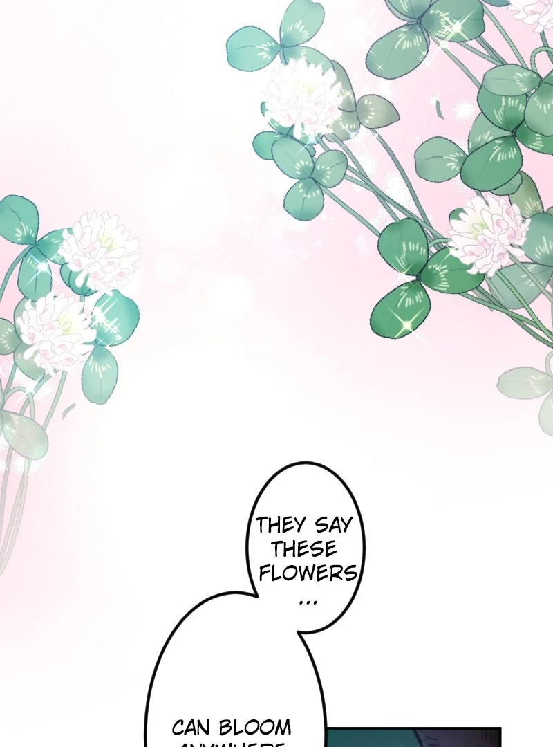 I’m Pregnant, But I Won’t Marry Without Love Chapter 10 - page 80