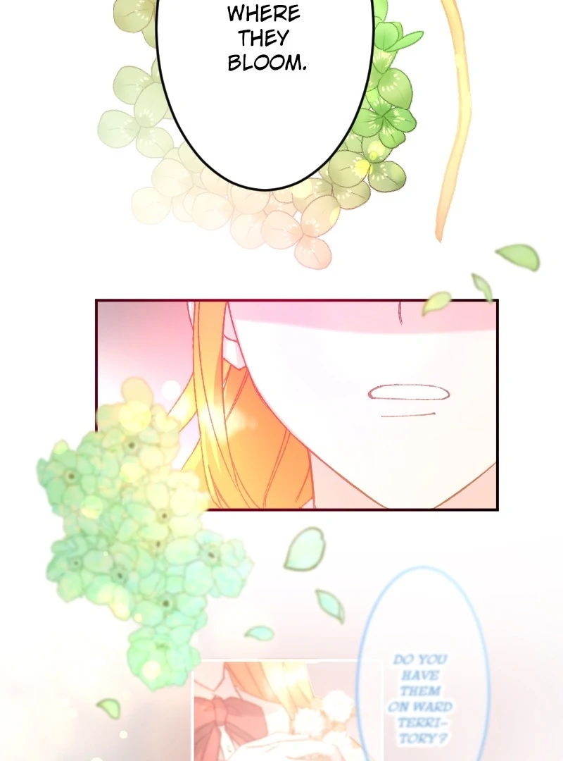 I’m Pregnant, But I Won’t Marry Without Love Chapter 15 - page 56