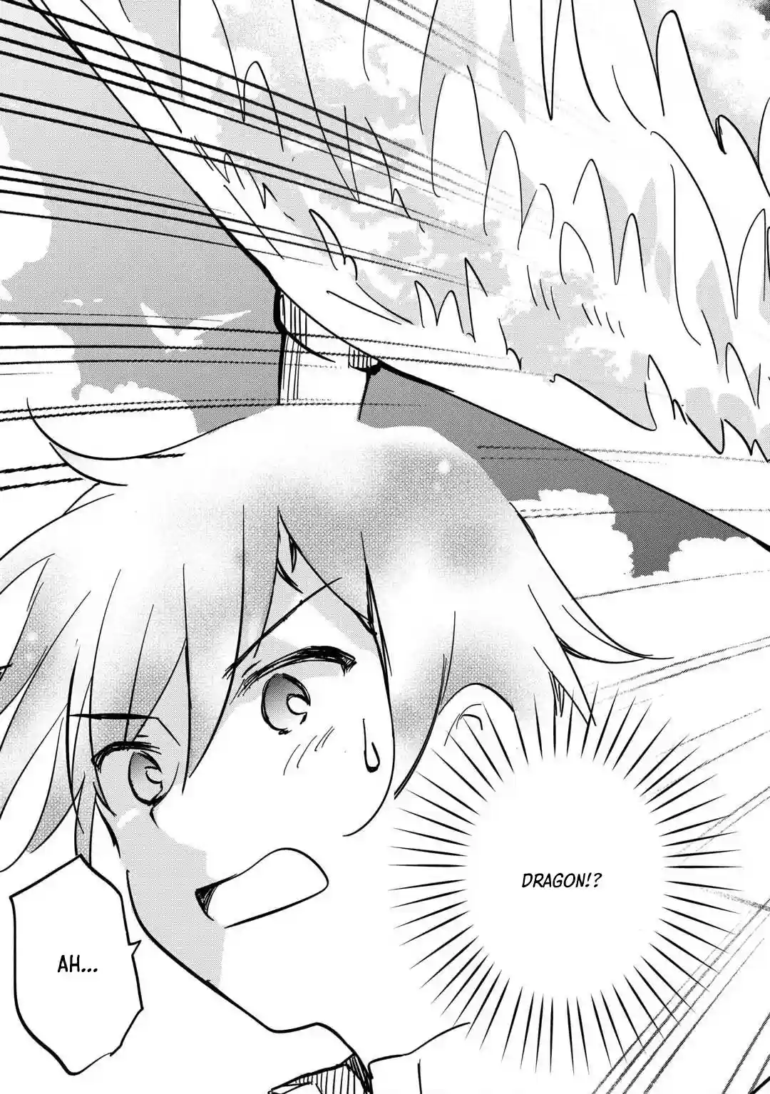 Tokage (Hontou wa Shinryuu) wo Shoukan Shita Seijuu Tsukai, Ryuu no Senaka de Kaitaku Life Chapter 5 - page 11