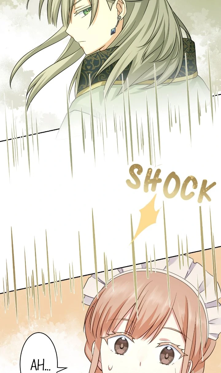 Reincarnated as the Antagonist's Maid Chapter 17 - page 45