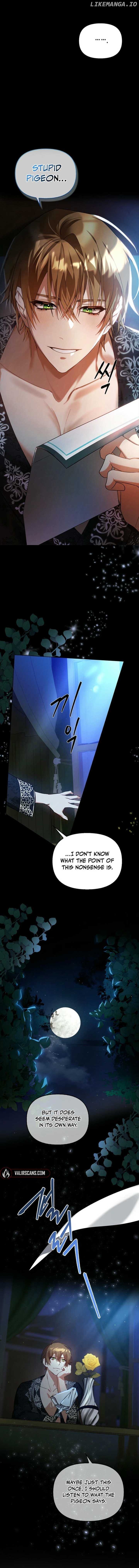 To The Witch Who Forgot The Bird Chapter 3 - page 21