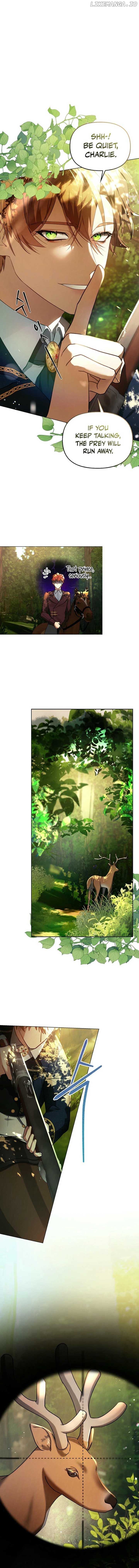 To The Witch Who Forgot The Bird Chapter 3 - page 3