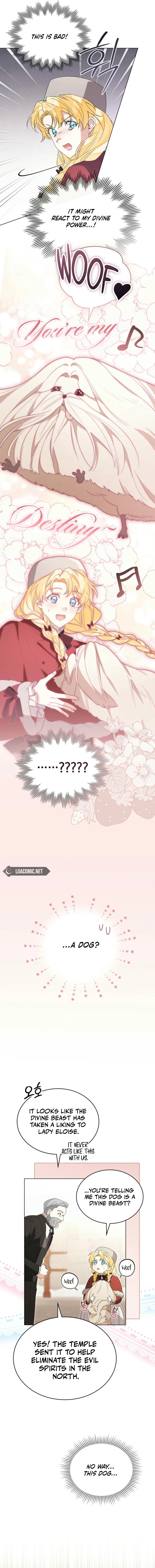 I Am Being Chased by My Husband Chapter 8 - page 9