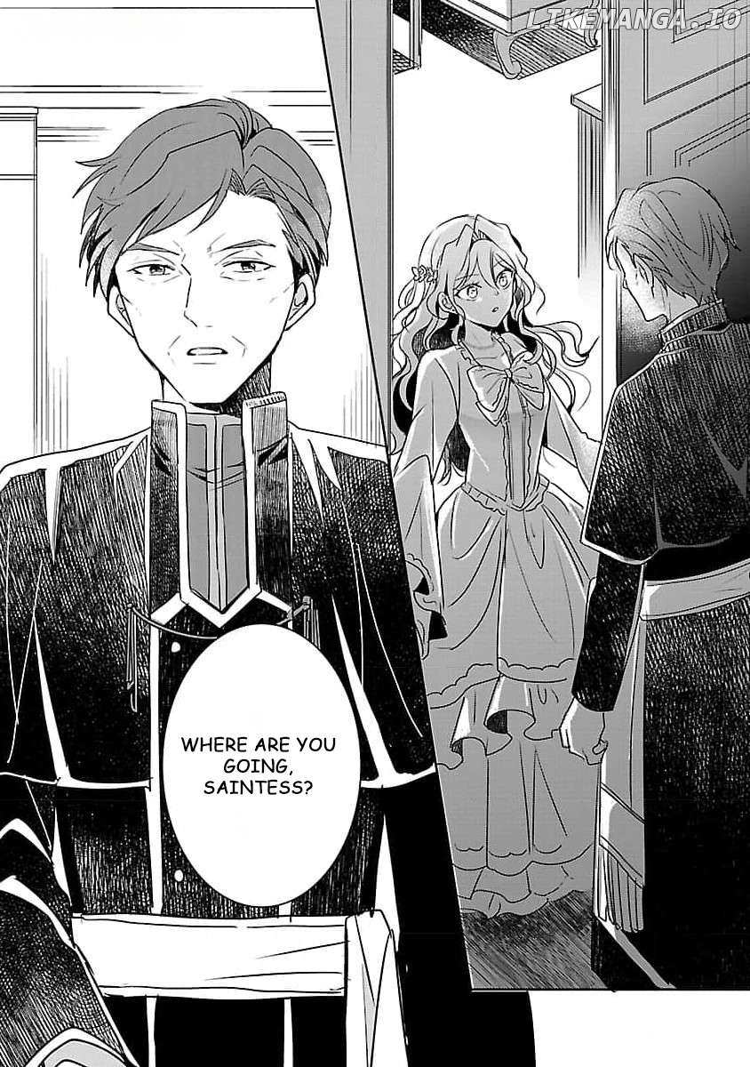 Gyakutaisarete Ita Shouka no Reijou wa Seijo no Chikara wo Te ni Ire, Mujikaku ni Youshanaku Gyakushuu suru Chapter 8 - page 19
