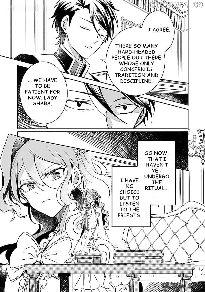 Gyakutaisarete Ita Shouka no Reijou wa Seijo no Chikara wo Te ni Ire, Mujikaku ni Youshanaku Gyakushuu suru Chapter 8 - page 26