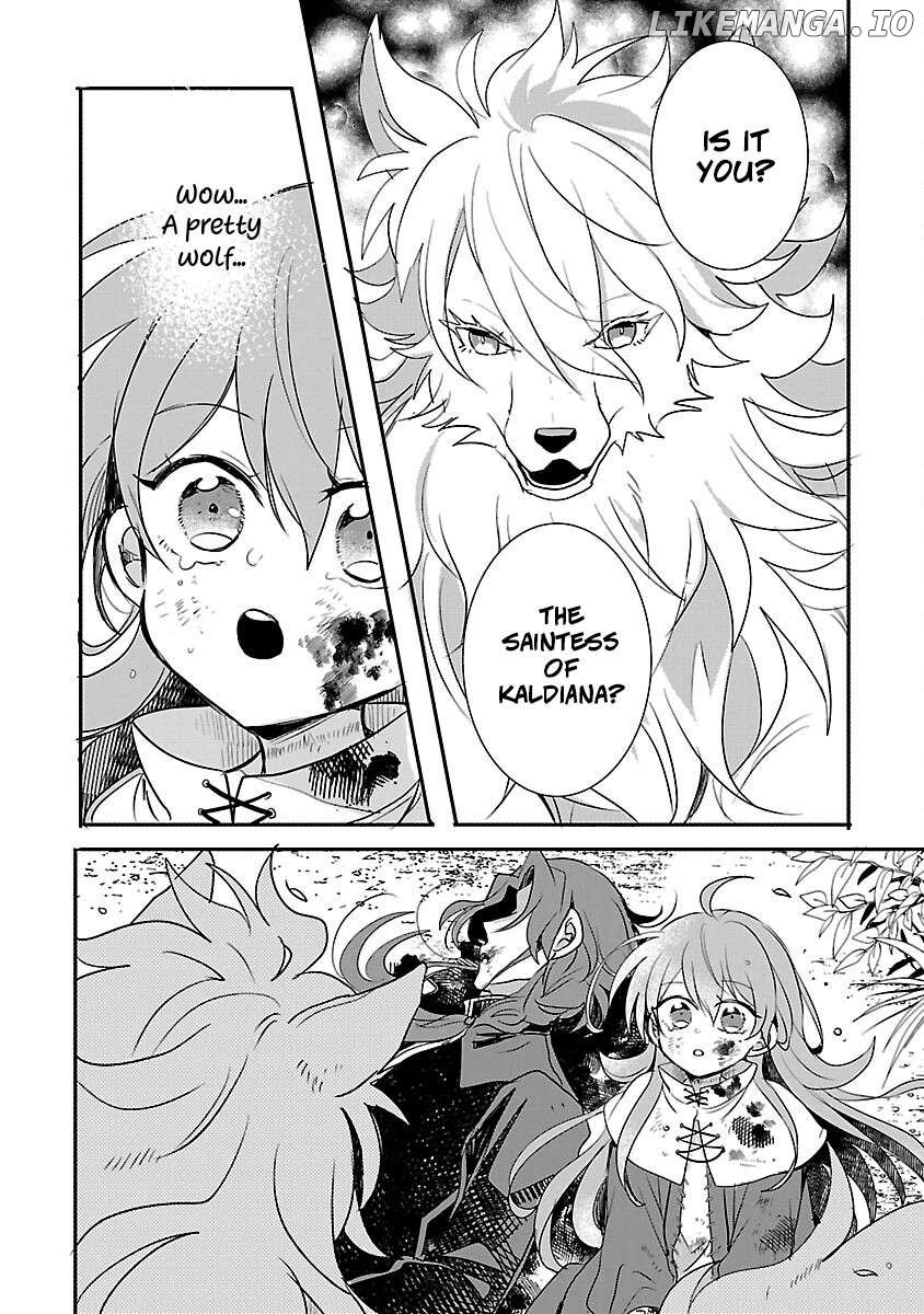 Gyakutaisarete Ita Shouka no Reijou wa Seijo no Chikara wo Te ni Ire, Mujikaku ni Youshanaku Gyakushuu suru Chapter 11 - page 22
