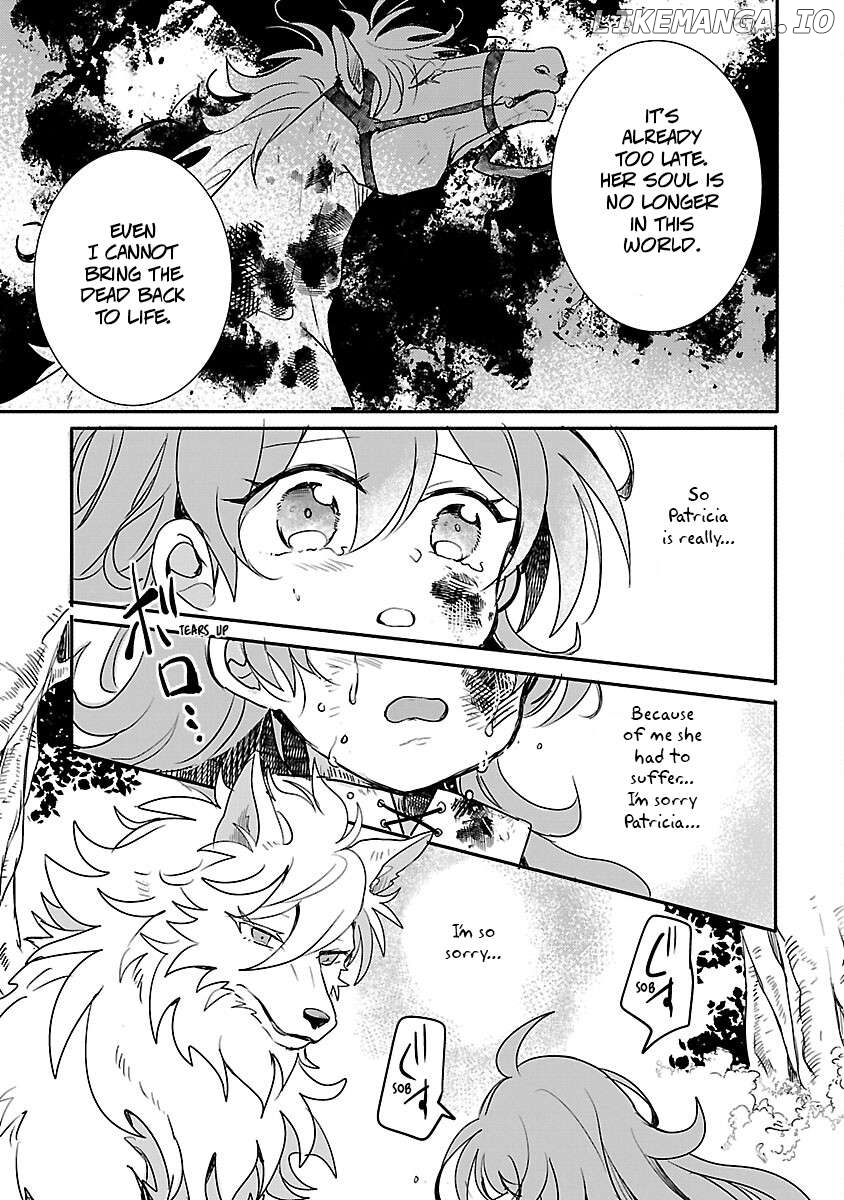 Gyakutaisarete Ita Shouka no Reijou wa Seijo no Chikara wo Te ni Ire, Mujikaku ni Youshanaku Gyakushuu suru Chapter 11 - page 29