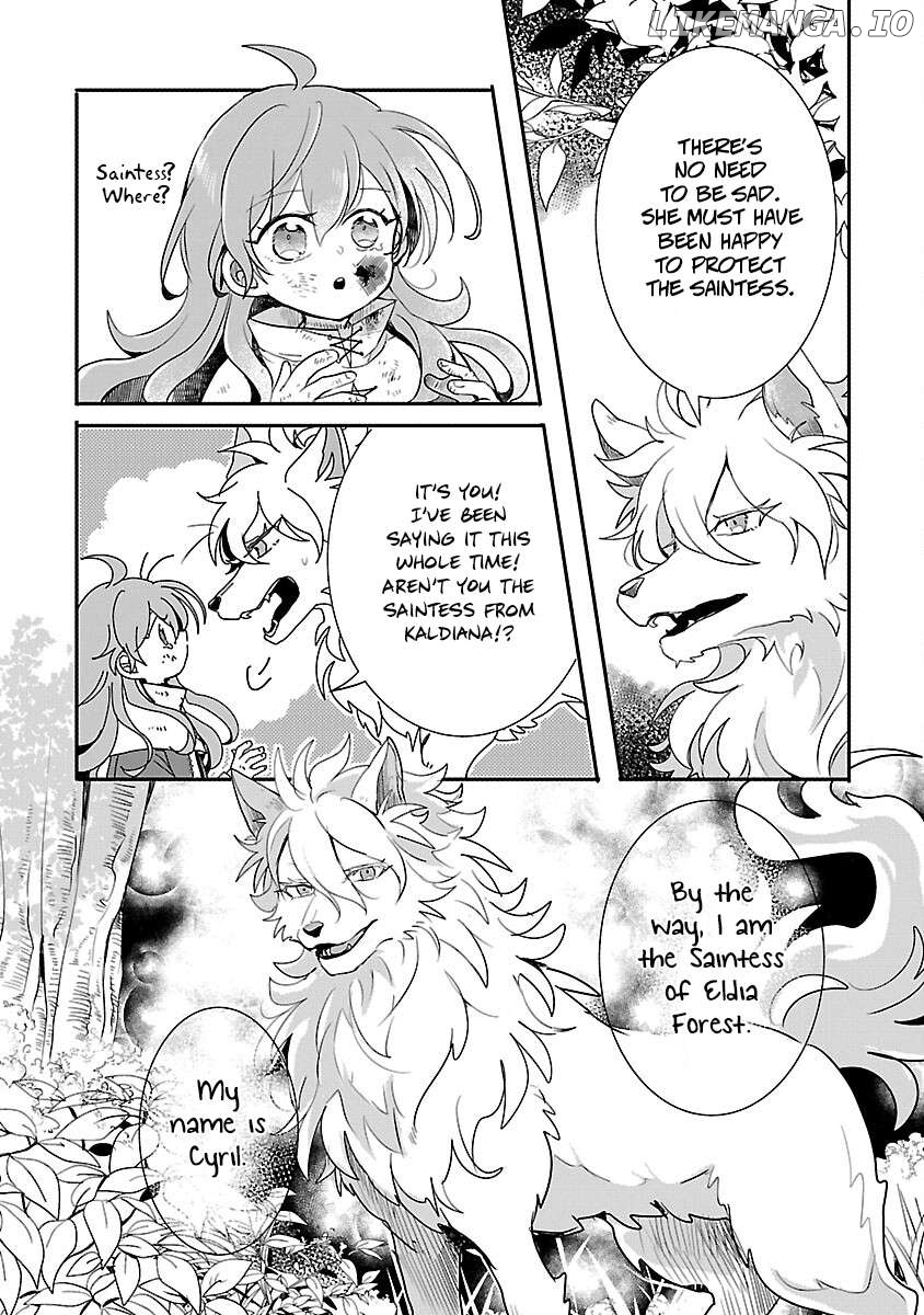 Gyakutaisarete Ita Shouka no Reijou wa Seijo no Chikara wo Te ni Ire, Mujikaku ni Youshanaku Gyakushuu suru Chapter 11 - page 30
