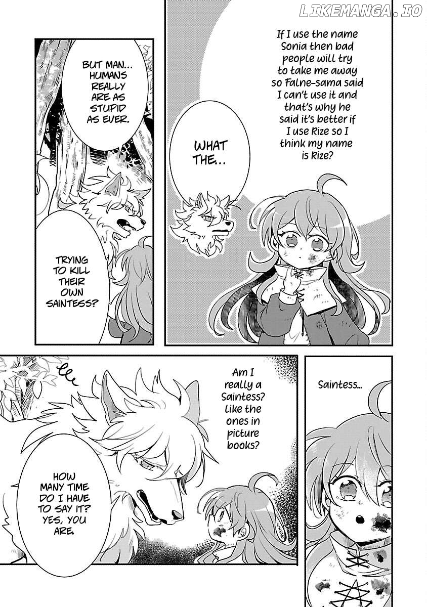 Gyakutaisarete Ita Shouka no Reijou wa Seijo no Chikara wo Te ni Ire, Mujikaku ni Youshanaku Gyakushuu suru Chapter 11 - page 33