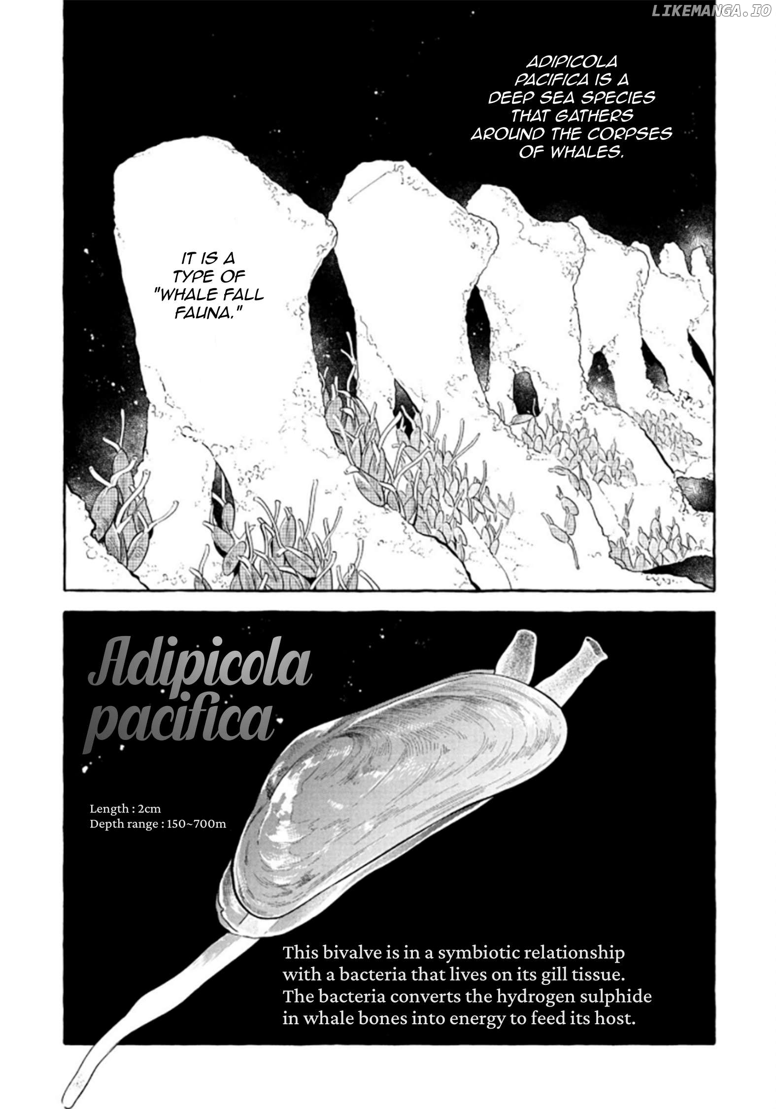 Deep Sea Aquarium Magmell Chapter 52 - page 37