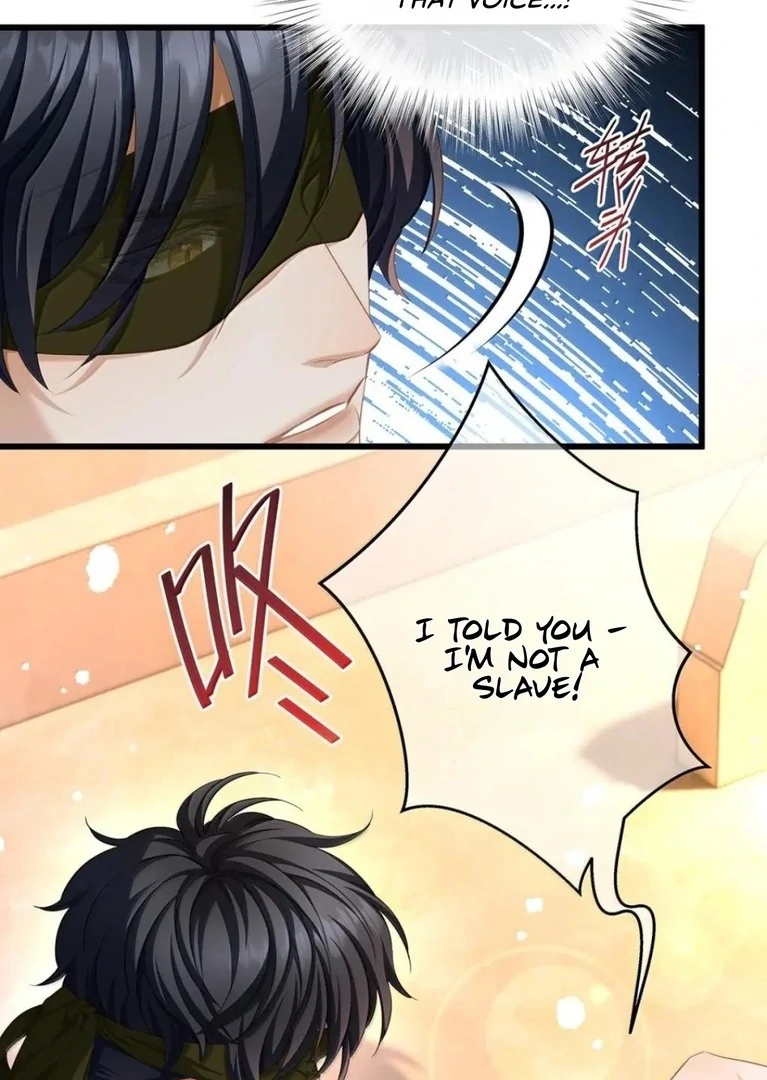 I Was Reborn as His Highness the Prince's Little Evil Dragon Chapter 72 - page 33