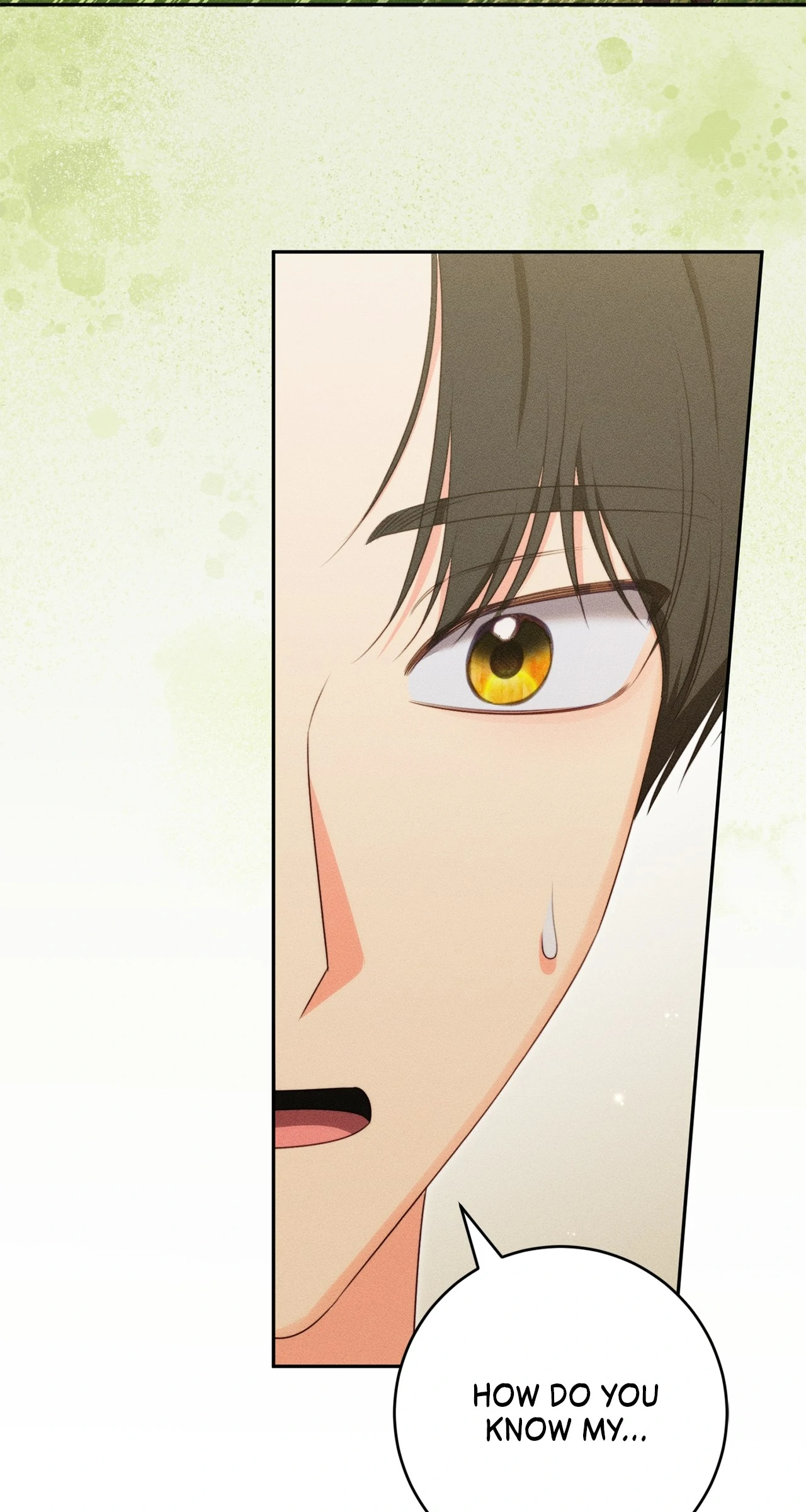 Becoming the Lady of the Cursed Ducal House Chapter 73 - page 6