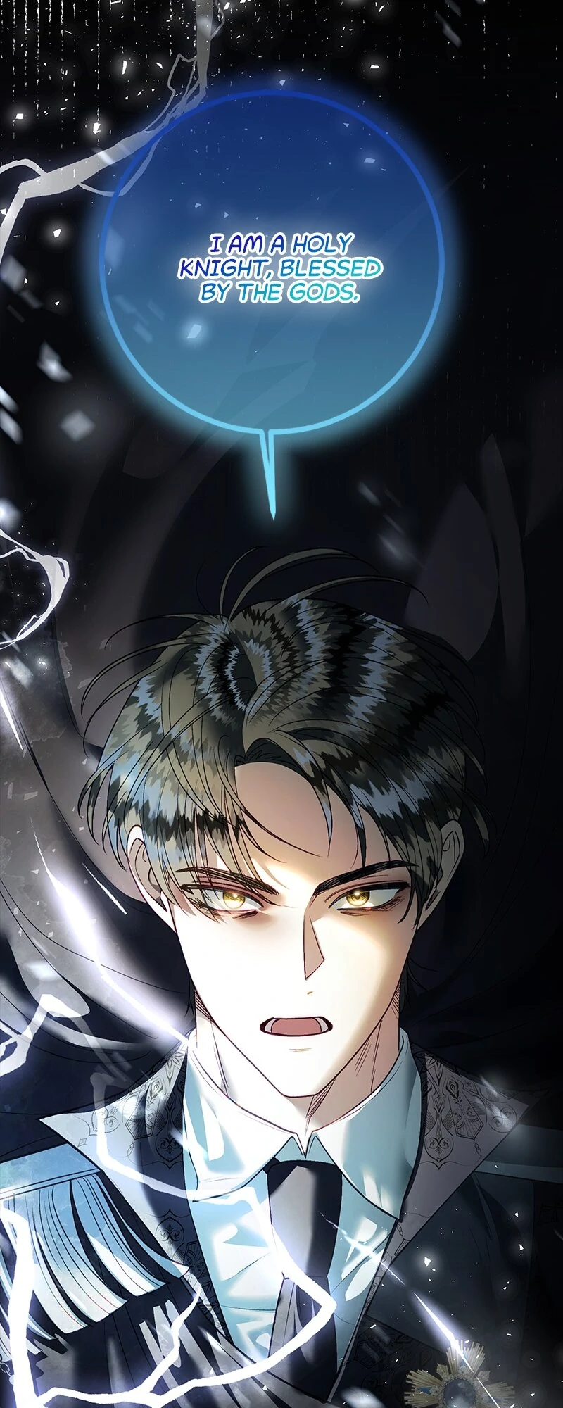 Becoming a Wicked Witch With a Paladin’s First Night Chapter 39 - page 44