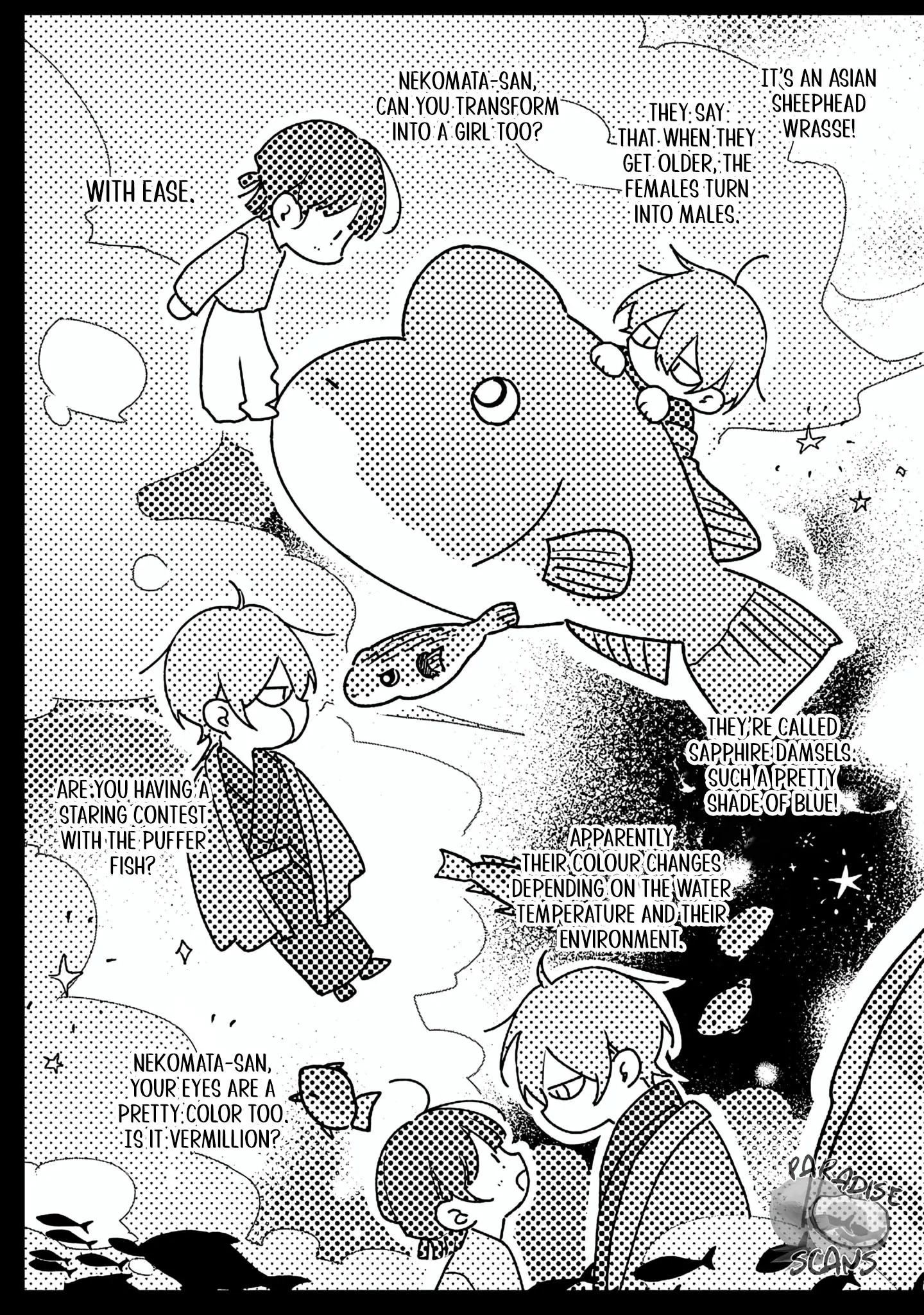 Clumsy Love With Nekomata-San Chapter 5 - page 19