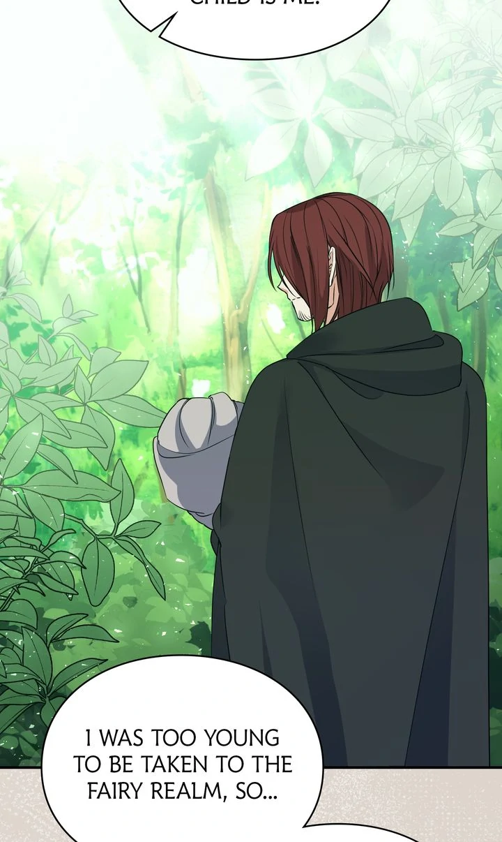 The Fairy Legacy Chapter 74 - page 42