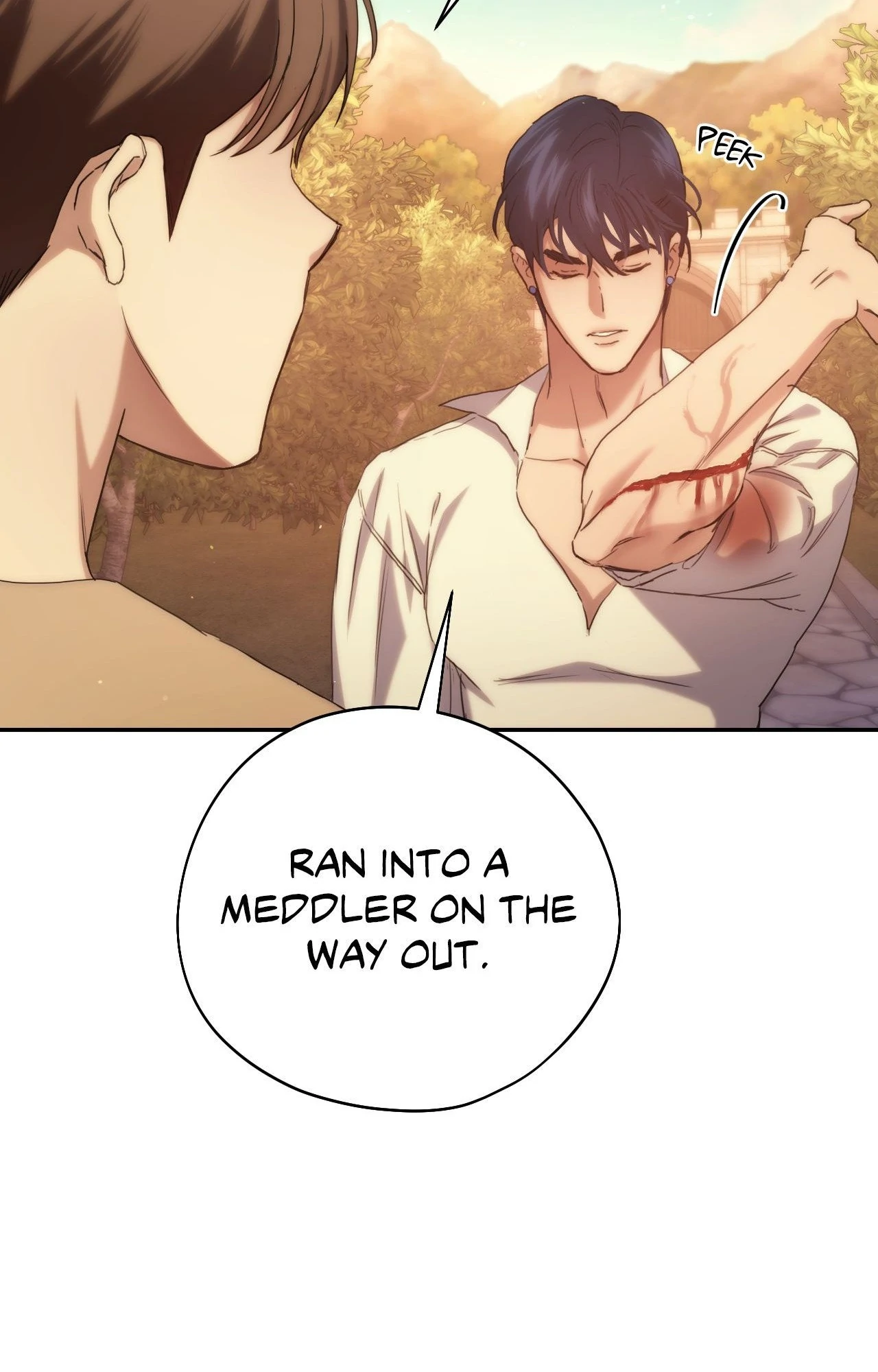 The Golden Wife-in-Law Chapter 43 - page 97