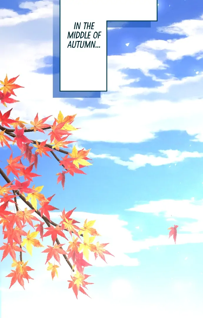 Pocha-Meshi: Stuff Your Cheeks With Love! Chapter 42 - page 18