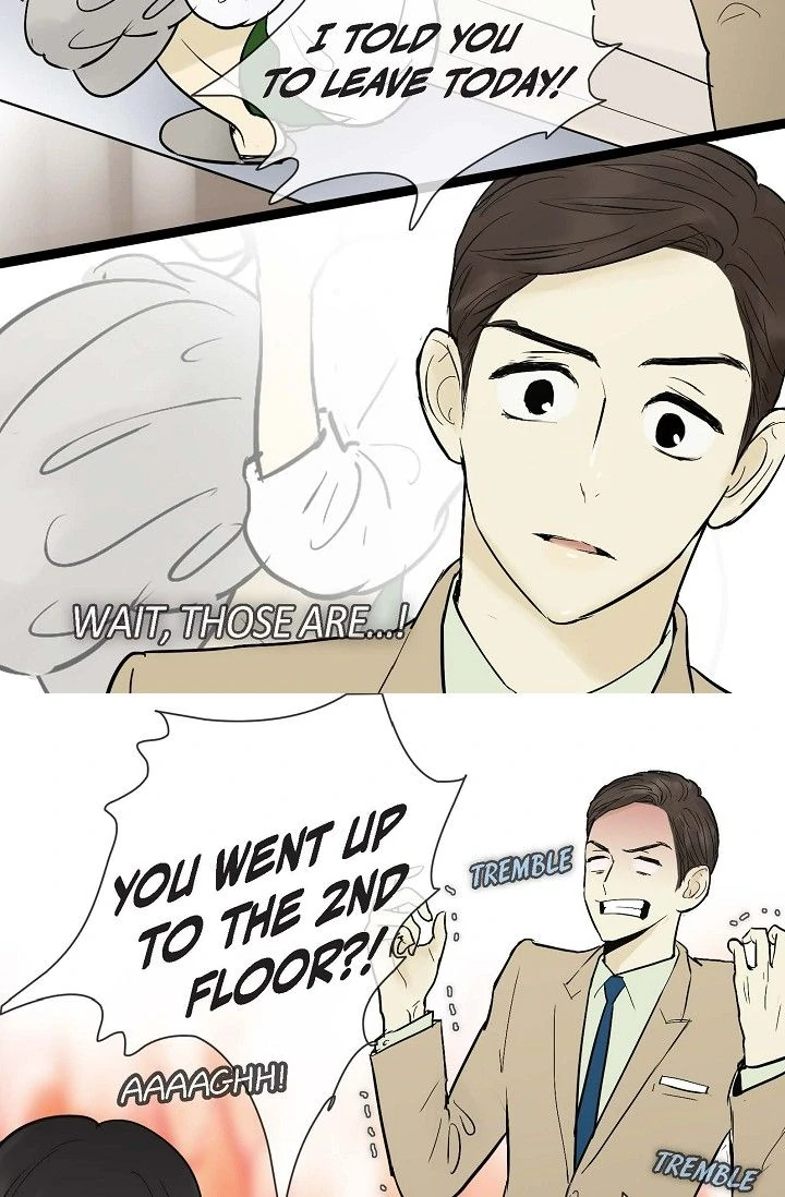 Clean with Passion for Now [Official] Chapter 37 - page 33