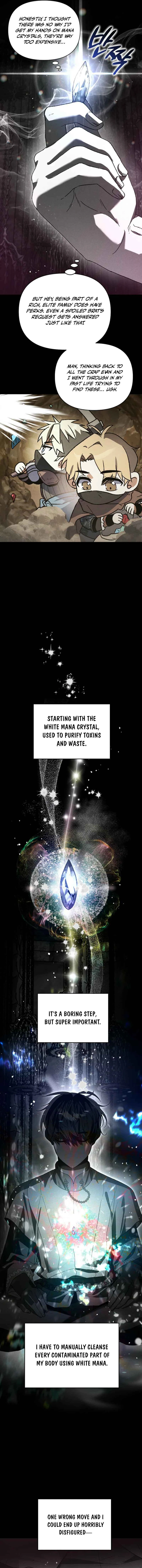 I Became the Genius Bastard of a Noble Dark Clan Chapter 2 - page 17