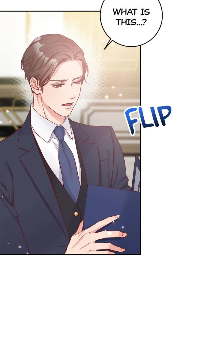 Business Marriage - If You Fall in Love, We'll Get a Divorce Chapter 2 - page 17