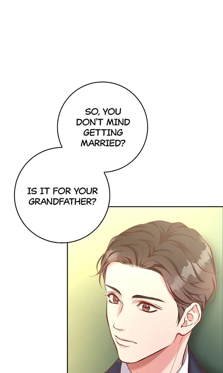 Business Marriage - If You Fall in Love, We'll Get a Divorce Chapter 2 - page 51