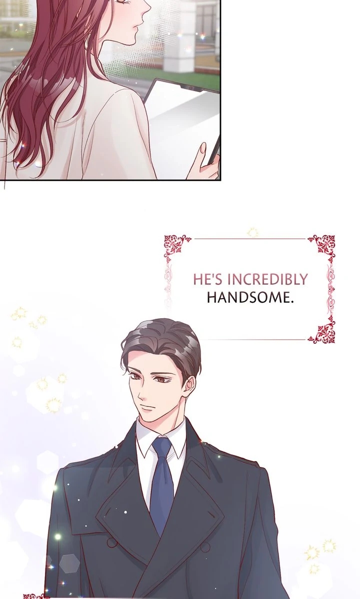 Business Marriage - If You Fall in Love, We'll Get a Divorce Chapter 3 - page 11