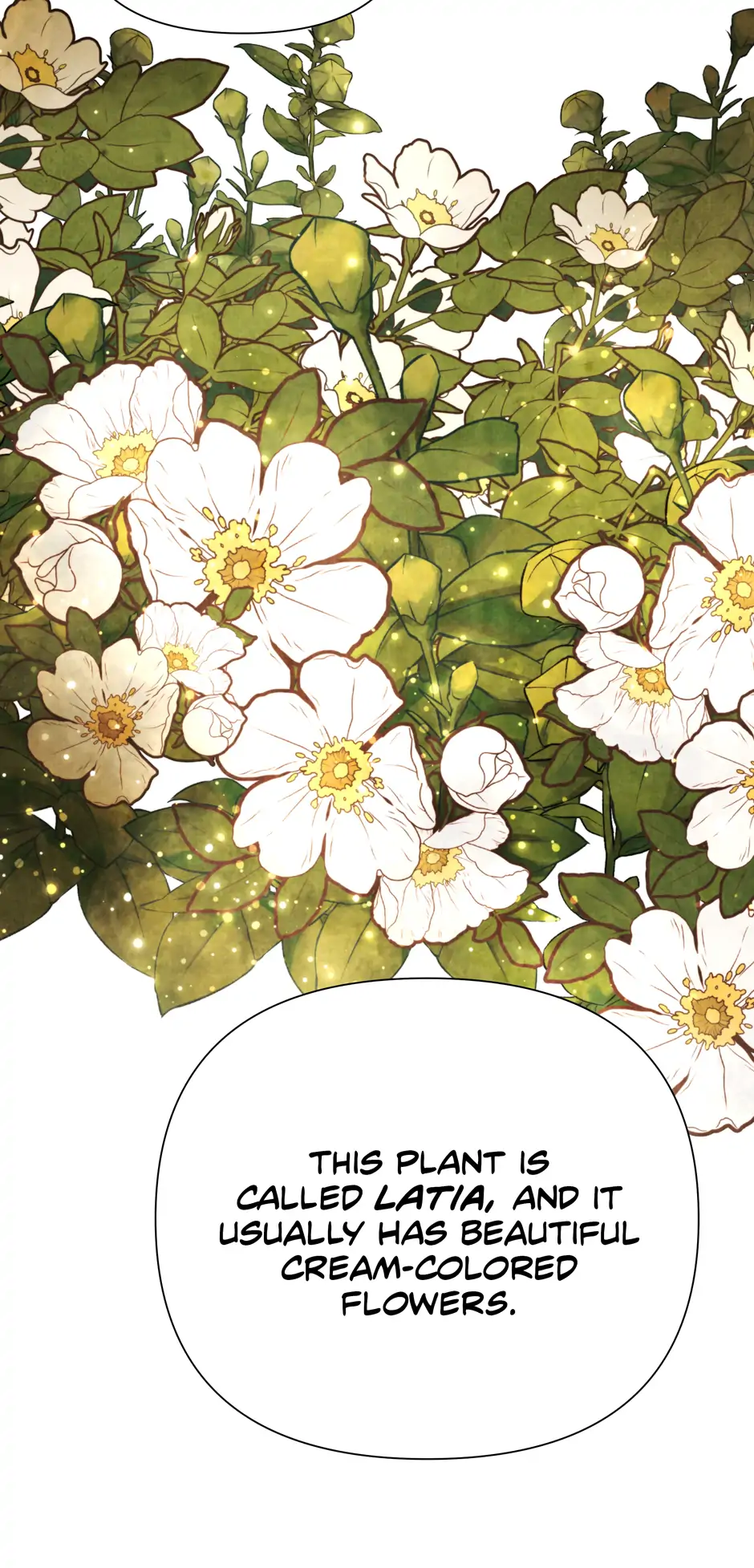 Even Though the Duchess Wants To Chapter 29 - page 19